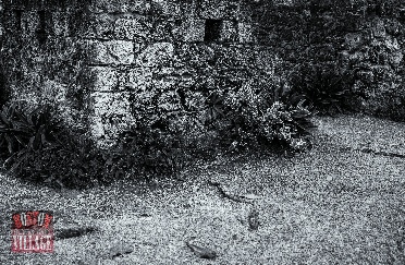 Fort on the island of Tobago 2020 photographer Michael C. Smith 